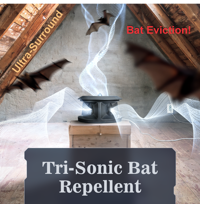 CLEANRTH BCS202 Bat-Blocker Pro - Safely Repels Bats Away